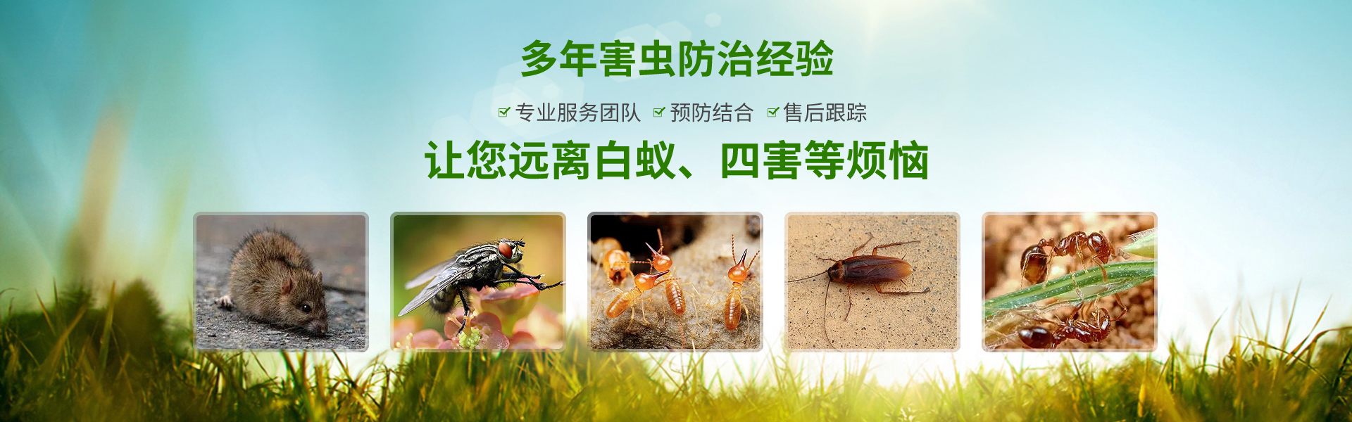 金沙娱场城8303(中国)有限公司官网