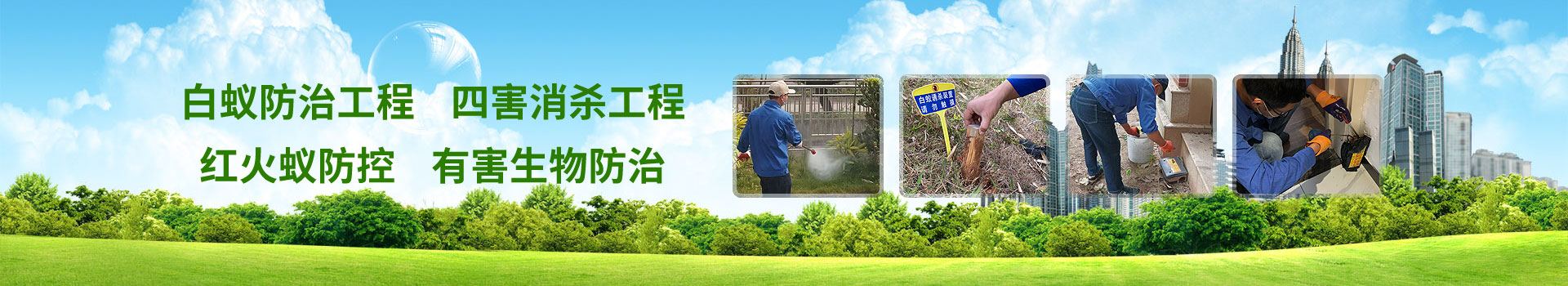 新建衡宇白蚁预防-效劳规模-佛山市益伦白蚁虫害防治有限公司