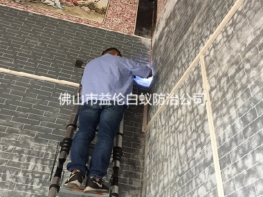 顺德古修建白蚁防治