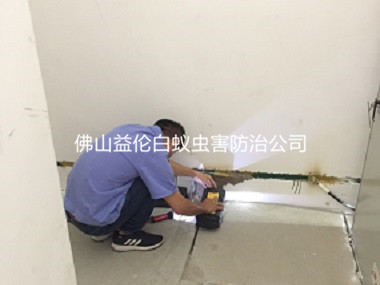 三水衡宇勘查防治白蚁工程