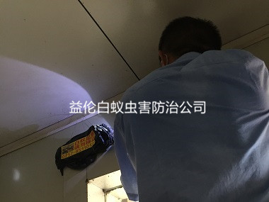 广州荔湾老城区衡宇灭白蚁