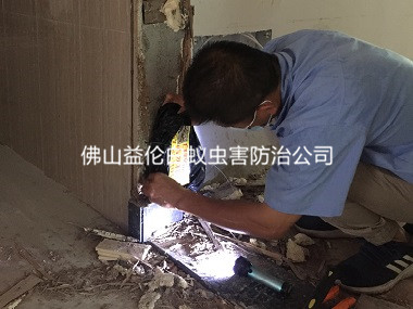 西南客栈防治白蚁