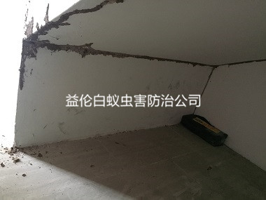 白云区衡宇白蚁防治