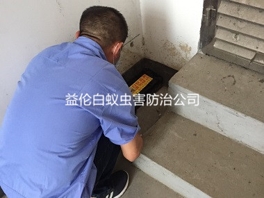 广州客栈灭白蚁工程