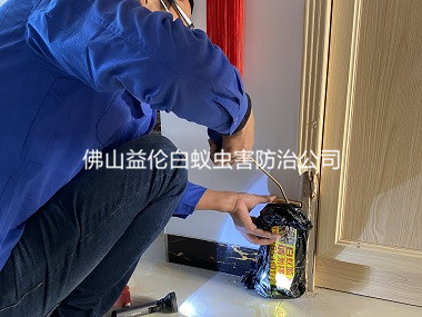 温顺小区住宅白蚁防治