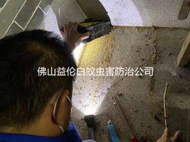 盐步老街衡宇白蚁防治