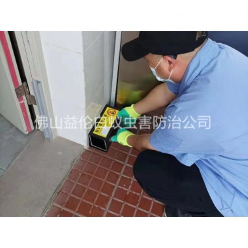 沙头装置粘鼠板工程