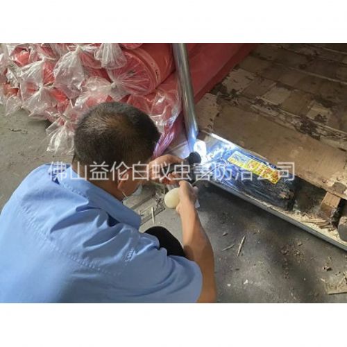 罗村客栈白蚁防治