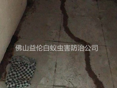 南海住宅衡宇白蚁防治