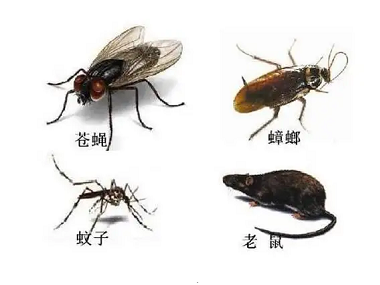 金沙娱场城8303(中国)有限公司官网