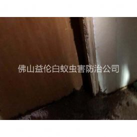 南海衡宇防治白蚁工程