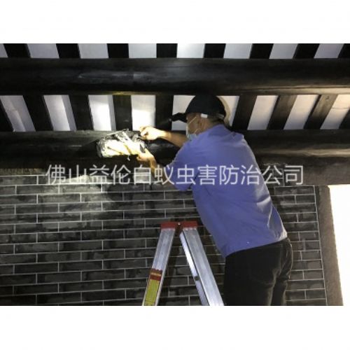 温顺祠堂杀灭白蚁工程