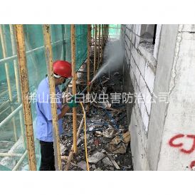 小塘修建白蚁预防工程