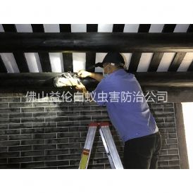 温顺祠堂杀灭白蚁工程